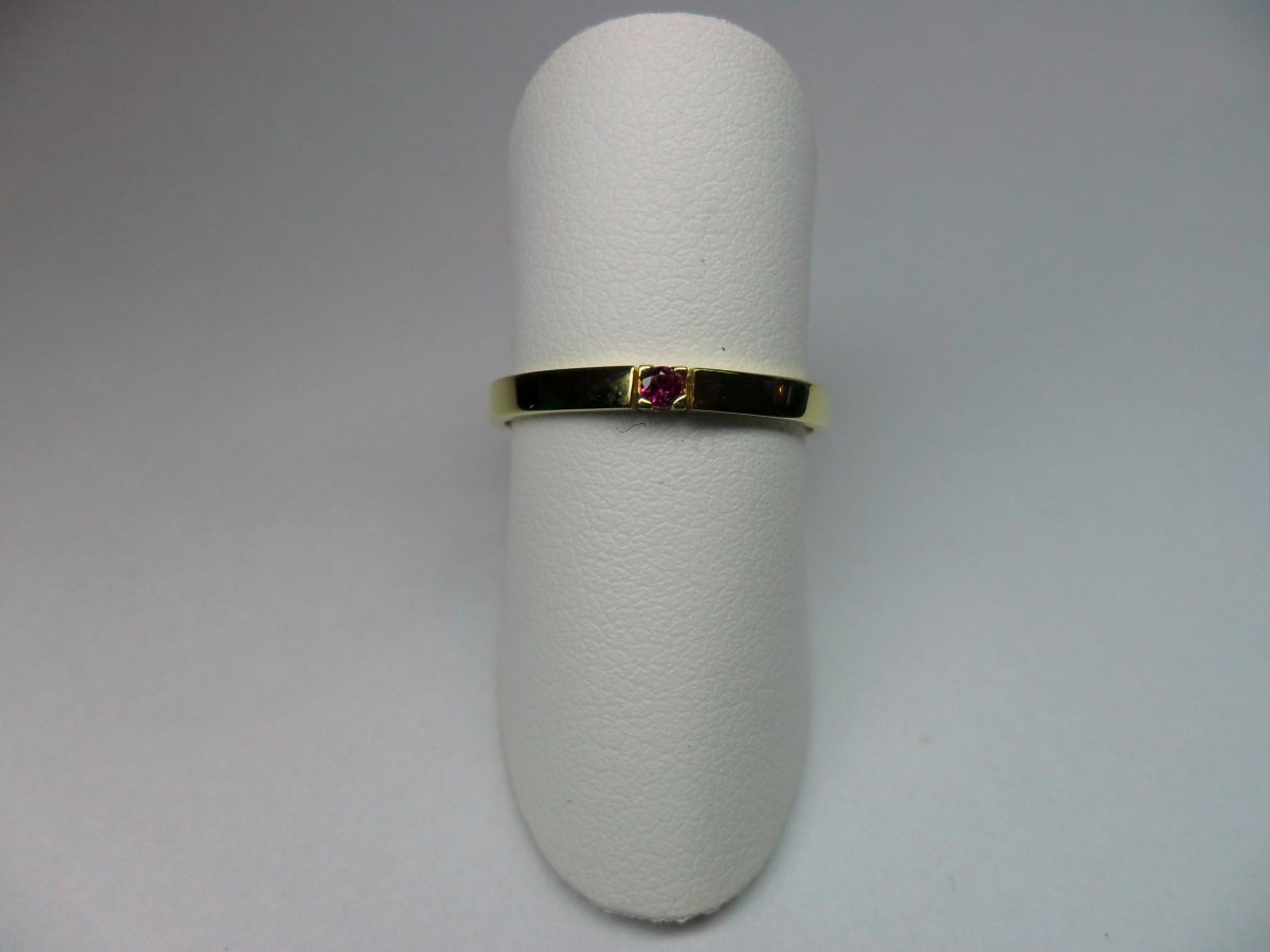 Rijring met Robijn 1st.